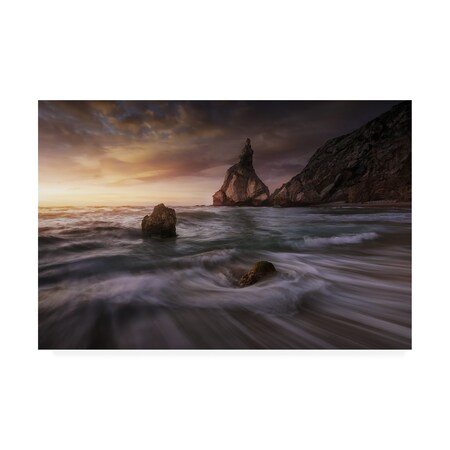 Trademark Fine Art Juan Pablo de 'Long Ursa.' Canvas Art, 16x24 1X09832-C1624GG